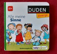 Kinderbuch Duden Zwerge Alle meine Sinne 12+ dm babybonus Hessen - Gilserberg Vorschau