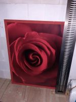 Bild Rose Wandbild Gemälde Kunstdruck Deko Liebe rot groß Rahmen Niedersachsen - Delmenhorst Vorschau