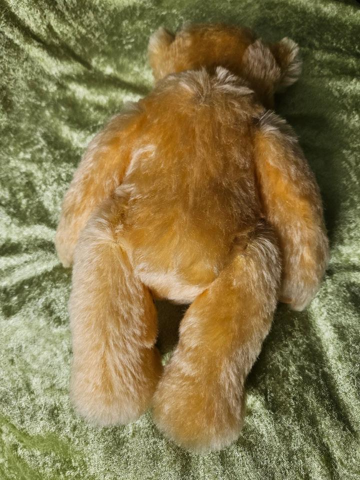 Martin Bär mit Brummstimme, Teddybär Sonneberg Teddy NEUWERTIG in Bad Driburg
