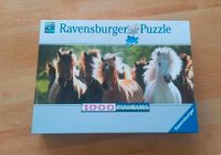 1000 Teile puzzle mit Pferdemotiv Baden-Württemberg - Schönaich Vorschau