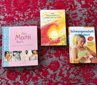 Das Mami Buch/Die Hebammen-Sprechstunde/Schwangerschaft u. Geburt Bayern - Schwabmünchen Vorschau