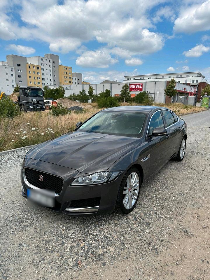 Jaguar XF 2017 in Flörsheim am Main