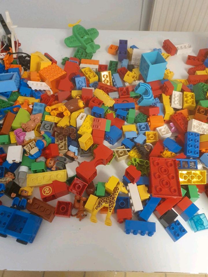 XXL-Paket Lego Duplo in Sittensen