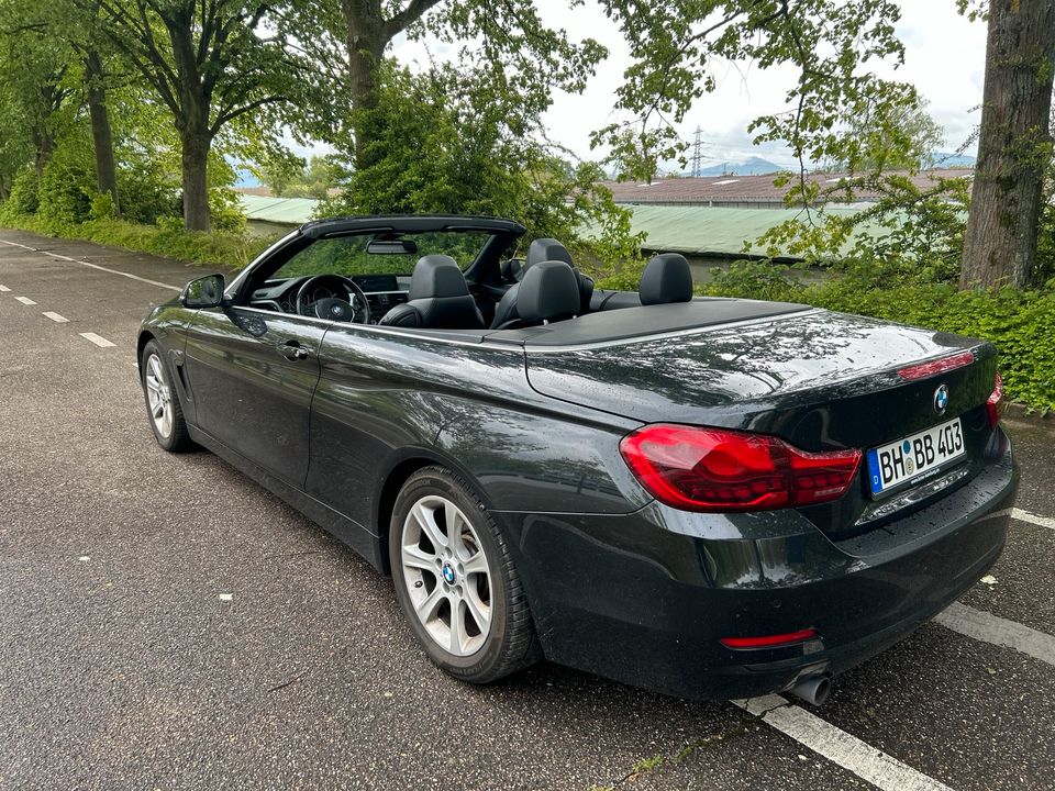 BMW 420d F33 Cabrio Sport-Line, Kamera, in Rastatt