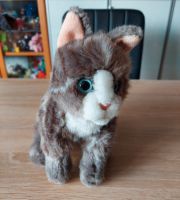 Katze braun grau weiß Stofftier Teddy-Hermann Bayern - Wassertrüdingen Vorschau