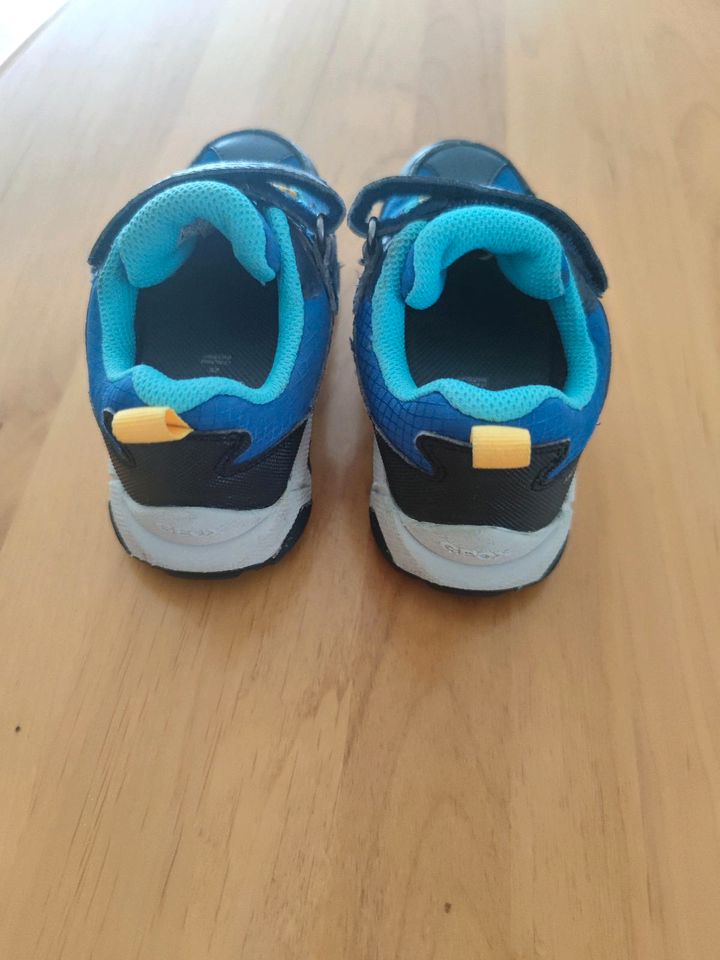 Geox Sneaker Schuhe Gr.25 blau in Deggendorf