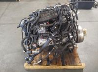 Motor BMW B48BA20A 184PS 120I 320i 520i f30 g36 f22 Sachsen - Mildenau Vorschau