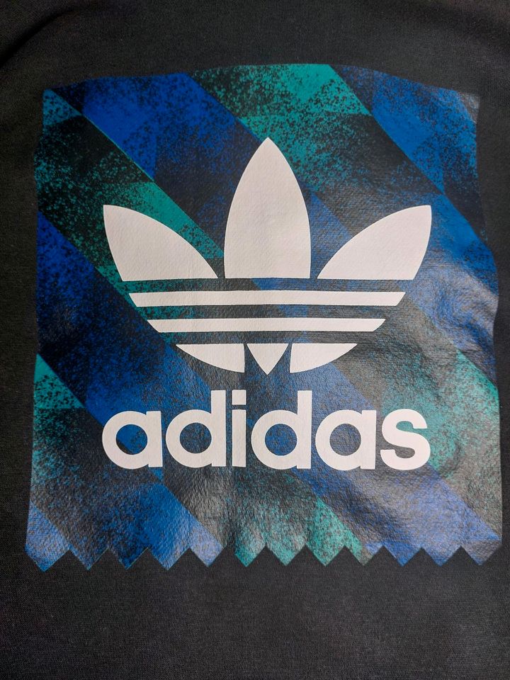 Adidas Skateboarding Hoodie in Dresden