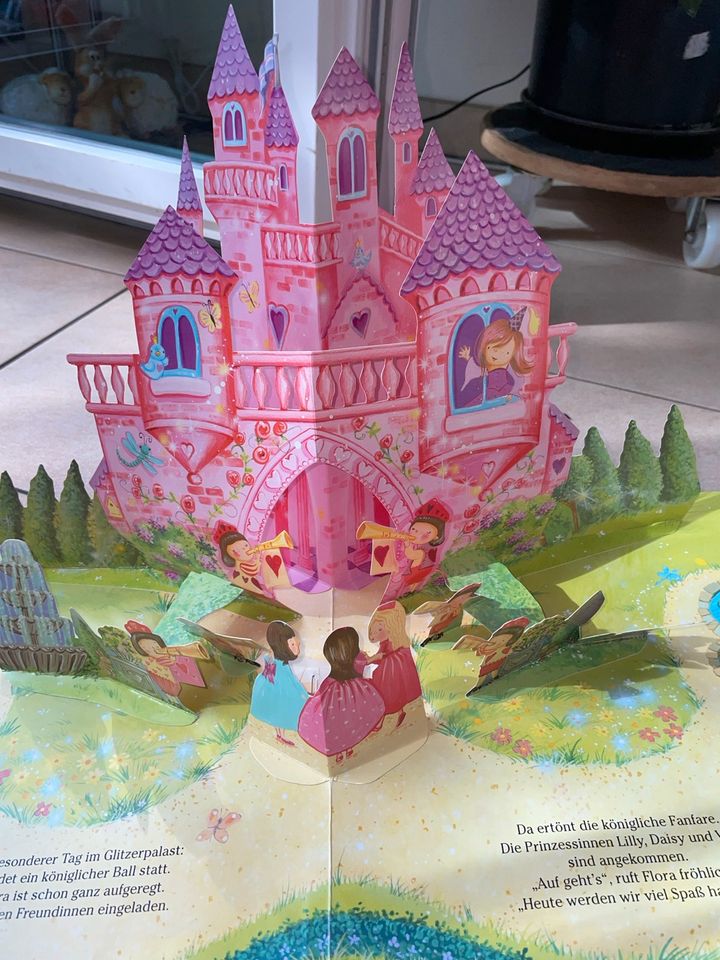 3D Pop up Buch mit Musik, Prinzessin in Erlangen