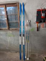 Langlauf Ski Fischer 195cm Stöcke 140cm Bayern - Blaichach Vorschau