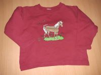 Baby Pullover, Pferd, Gr.92/98, Mädchen Brandenburg - Doberlug-Kirchhain Vorschau