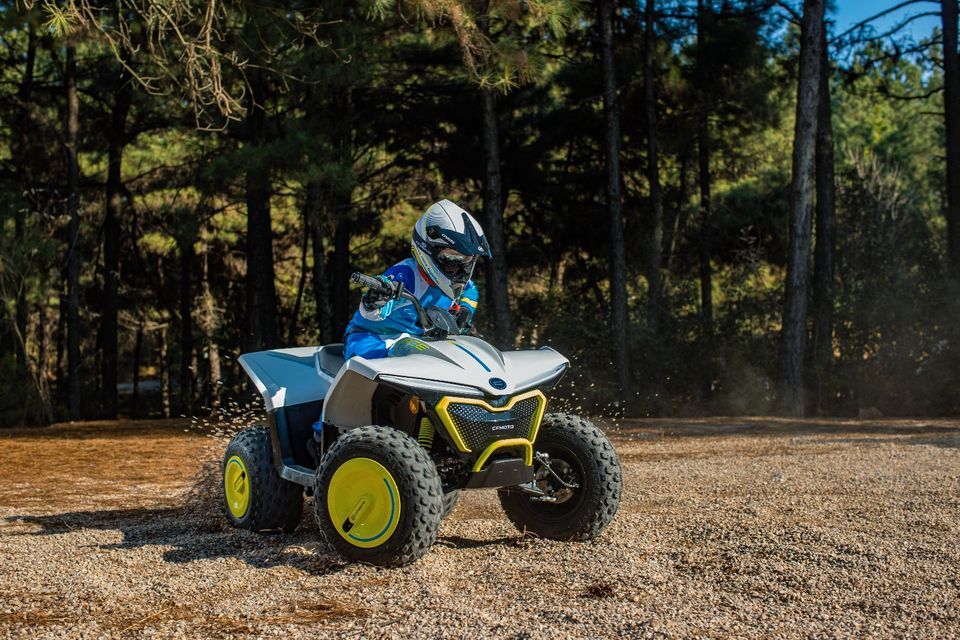 ♦️ Herbstaktion ♦️ CF Moto CForce EV 110 - Polarweiß♦️ in Velten