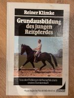 Grundausbildung des jungen Pferdes Bayern - Dietramszell Vorschau