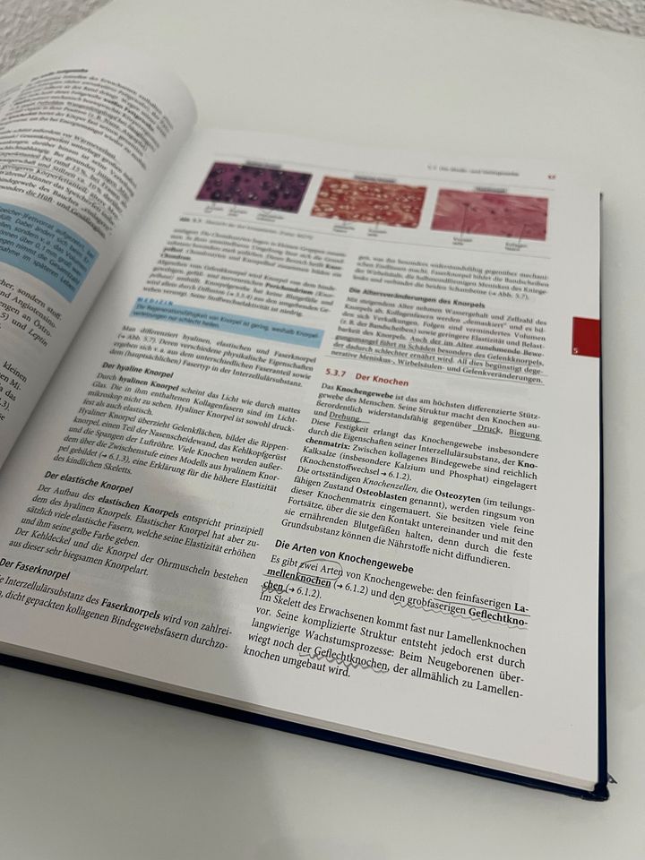 Biologie Anatomie Physiologie Buch Elsevier in Heilsbronn