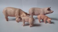 Schleich Schweine, 2 Sauen mit 2 Ferkeln, TOP!!! Niedersachsen - Oldenburg Vorschau