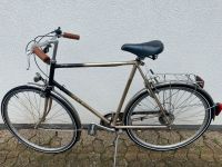 Fahrrad, rex, Aluminium Niedersachsen - Giesen Vorschau