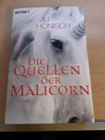 Roman "Die Quellen der Malicorn" Nordrhein-Westfalen - Ahlen Vorschau