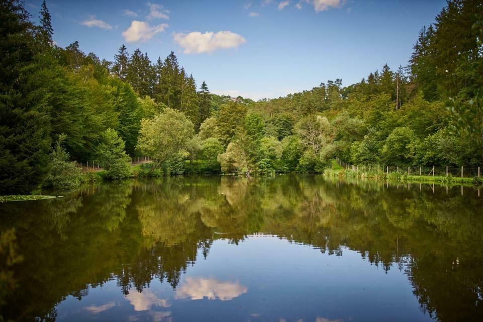 Camping + Angeln Angelurlaub JGA Männerurlaub Angelerlebnis in Welterod