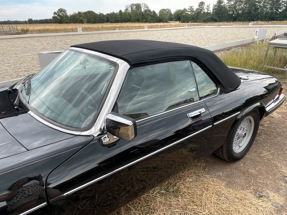 Jaguar XJS V12 Cabrio, sehr gepflegter Oldie in Euskirchen