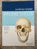 Lernposter Schädel von Prometheus Kiel - Ravensberg-Brunswik-Düsternbrook Vorschau