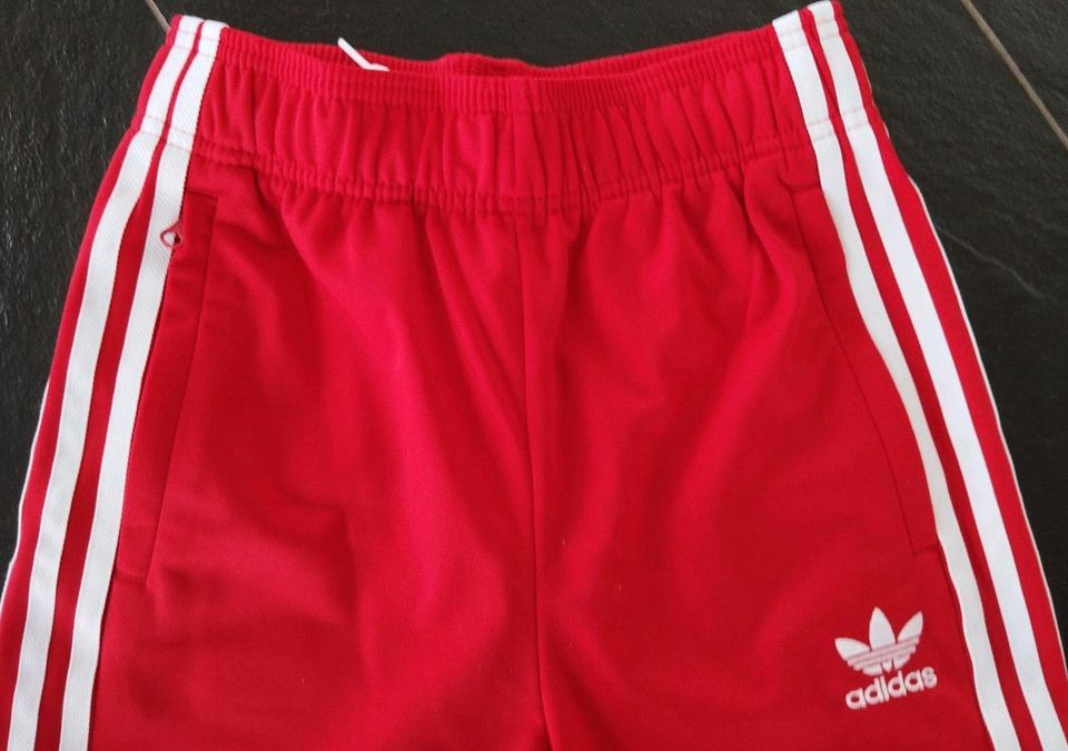 Adidas Adicolor Trainingsanzug rot Größe 152 Neuwertig in Grettstadt