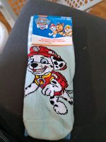 Paw Patrol Socken Gr 23 -26 Niedersachsen - Großenkneten Vorschau