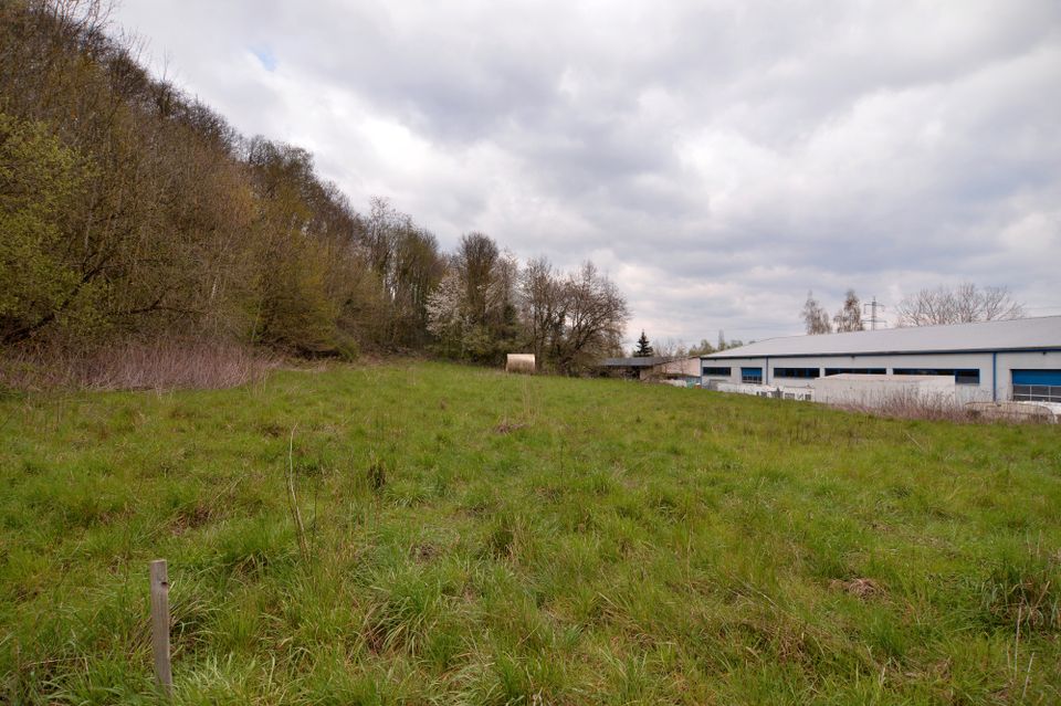 Logistisch gut ausgerichtete Gewerbefläche für eigenes Haus im Grünen – 2.692 m2 in Wasserliesch in Wasserliesch