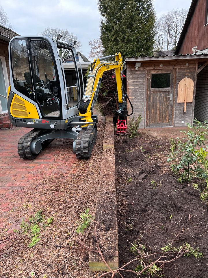 Hecke entfernen jetzt Termine sichern !!! in Westerholt