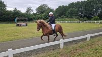 Islandpferd Stute, Zucht und Sport Schleswig-Holstein - Felm Vorschau