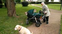 TFK Joggster Adventure 2 Kinderwagen Niedersachsen - Rinteln Vorschau