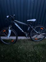 SCOTT Mountainbike 26zoll Bayern - Dettelbach Vorschau