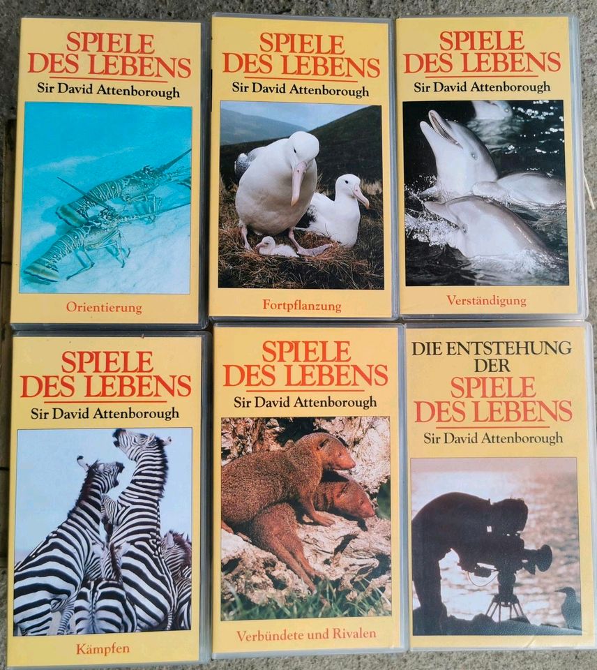 VHS Serie "Spiele des Lebens" in Strausberg