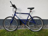 MTB Alpinestars. Al Mega DX. Shimano DeoreDx 21 Gang. Retro Alu Dortmund - Westrich Vorschau