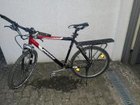 Bocas Herren Fahrrad Nordrhein-Westfalen - Kirchlengern Vorschau