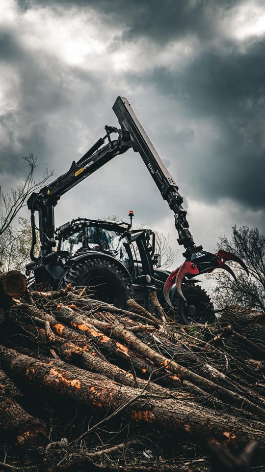 Holztransport Baumfällung Holzvermarktung Holzeinschlag in Altenkunstadt