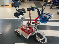 e-Segway E-Roller e-Scooter E-Bike Spassmobil Baden-Württemberg - Schemmerhofen Vorschau