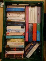1 Kiste Bücher, Romane Hessen - Vellmar Vorschau