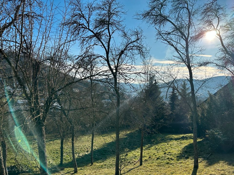 Grundstück in sonniger Lage mit Aussicht in Kirn