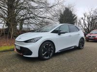 Cupra Born 170kW (231PS) 58kWh Wärmepumpe ACC Garantie Head-up Nordrhein-Westfalen - Ibbenbüren Vorschau