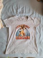 Disney T-Shirt grau mit Timon, Gr. L Nordrhein-Westfalen - Moers Vorschau