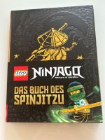 Ninjago Buch Sachsen - Königstein / Sächsische Schweiz Vorschau