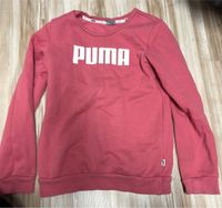 Puma Pullover Größe 152 Wiesbaden - Mainz-Kostheim Vorschau