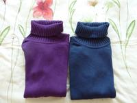 2 x Rollkragenpullover Nordrhein-Westfalen - Ahlen Vorschau