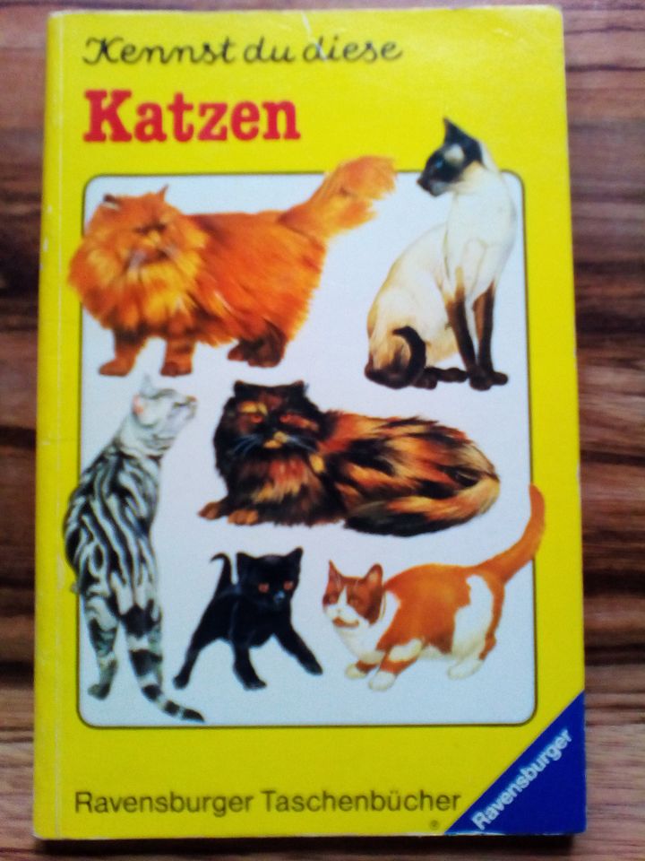 Kennst du diese Katzen? Ravensburger Taschenbücher in Isenbüttel