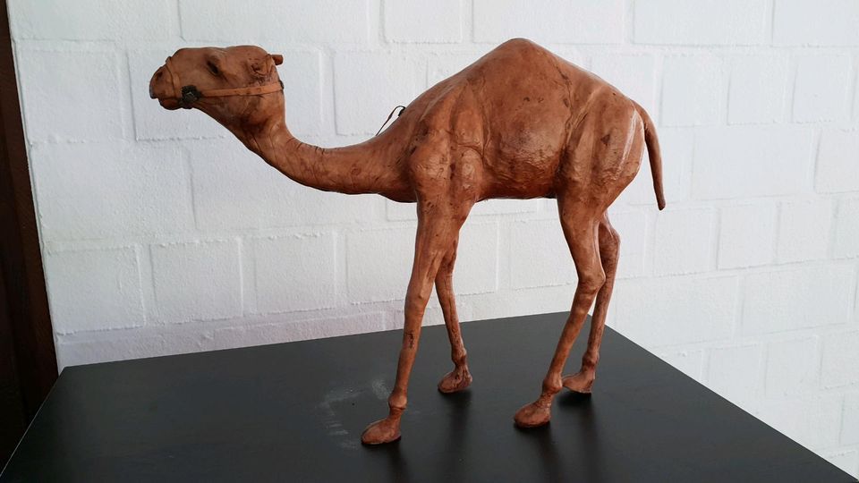 Kunstwerk realistische Holzfigur Kamel aus Afrika in Hildesheim