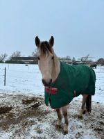 gebrauchte Rambo Horseware Winterdecke (130) Herzogtum Lauenburg - Wentorf Vorschau