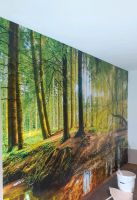 Trockenbau, tapezieren und Maler arbeit Rheinland-Pfalz - Bad Bergzabern Vorschau
