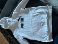 Pulli//Hoodie/Sweatshirt Puma Rheinland-Pfalz - Wissen Vorschau