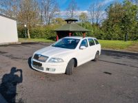 Skoda Octavia 2.0 TDI Nordrhein-Westfalen - Kreuzau Vorschau