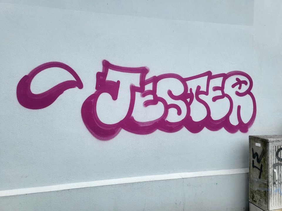 Grafitti Entfernung in Niedere Börde